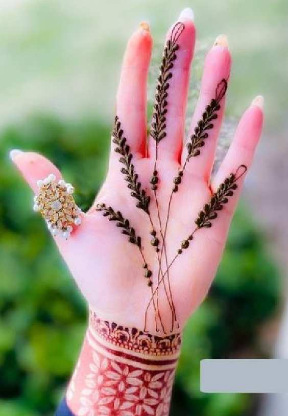 Mehndi design front hand 